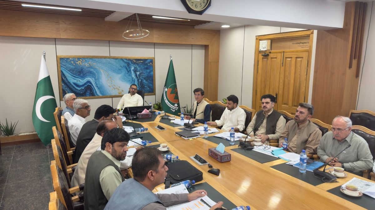 PDWP Considers Road Development and Rehabilitation Proposals of C&W Department for Various Districts